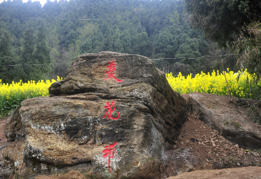 熱烈祝賀南部縣首屆菜花節(jié)隆重召開！