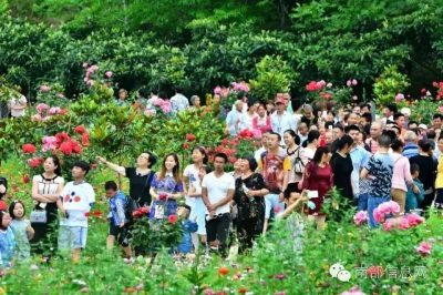 沸騰的小山村——伏虎寺外桃源，令人震撼的美！